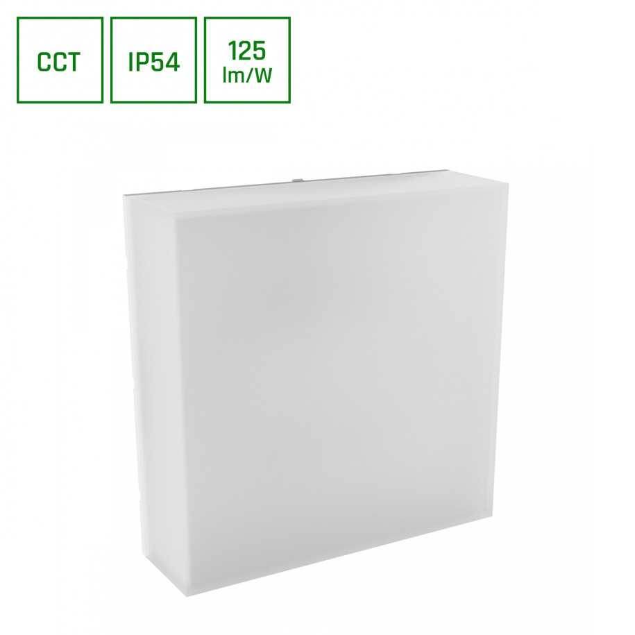 Oprawa elewacyjna SCATOLLO 20W CCT 230V IP54 biała SLI003038CCT_PW
