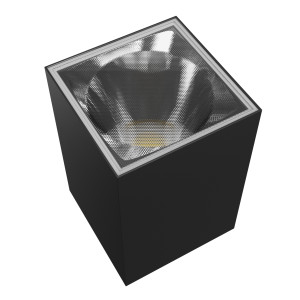 Oprawa elewacyjna TORRE 9W CCT 230V IP54 kwadrat czarna SLI003023CCT_PW