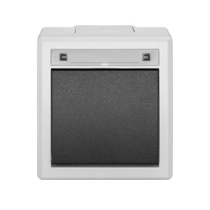 AQUANT 2K łącznik natynkowy 1-biegunowy (schodowy) IP55 szary 5001-10