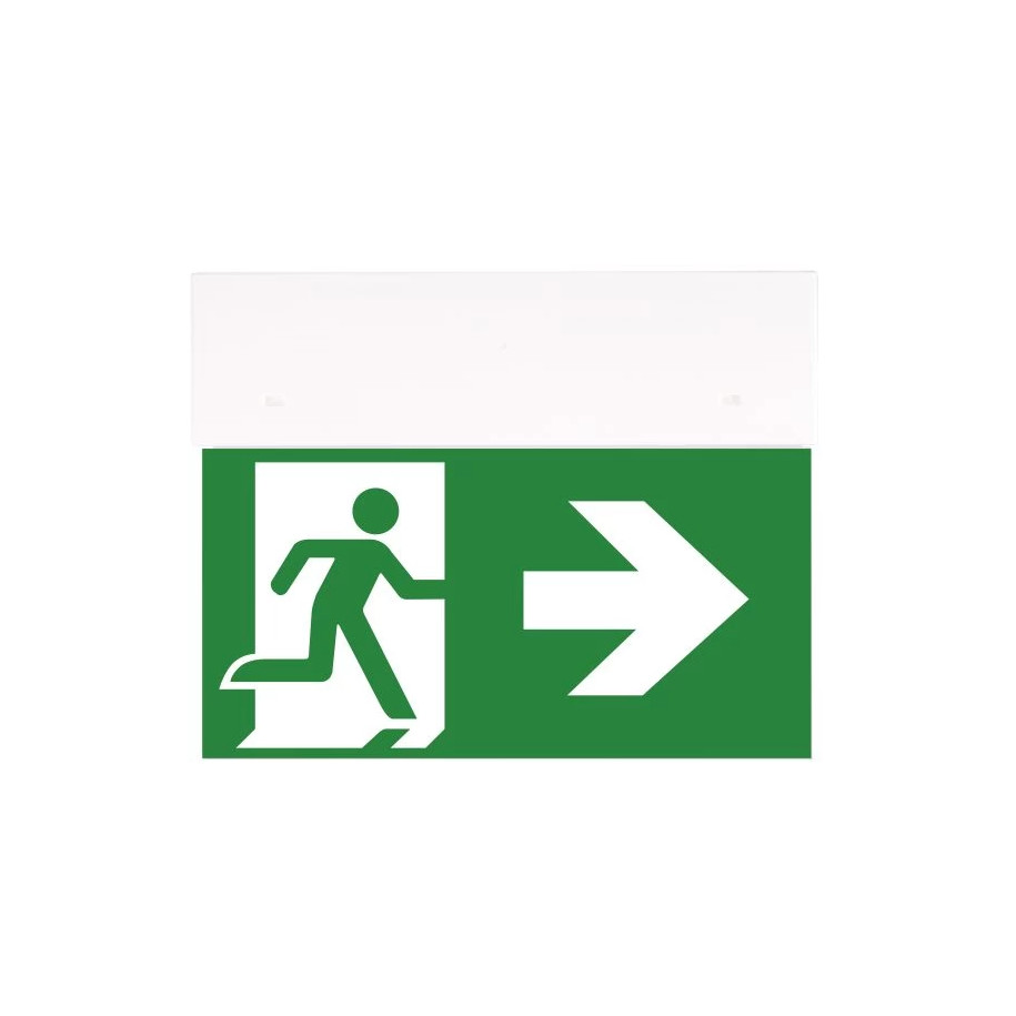 Oprawa ewakuacyjna DIRECTO S M 3H MT + (VD3, VD4, VD5 x 2) 90285