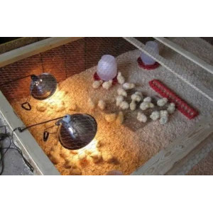 Promiennik R125 230V 150W E27 clear BELLIGHT